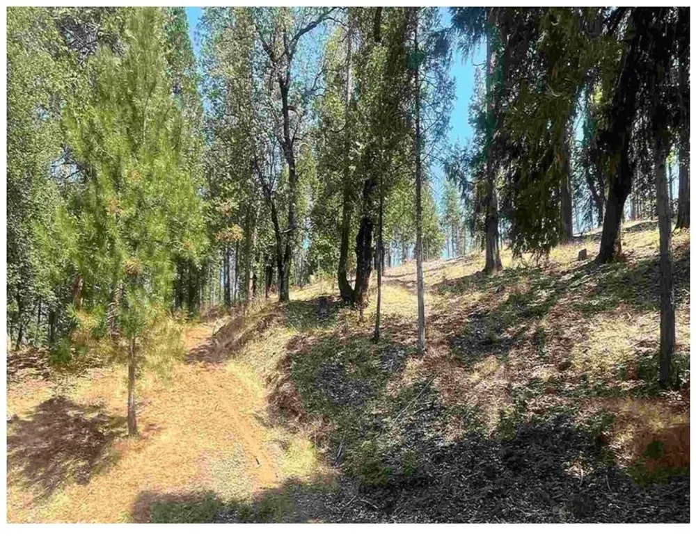 Pine Mountain Drive Groveland, CA 95321