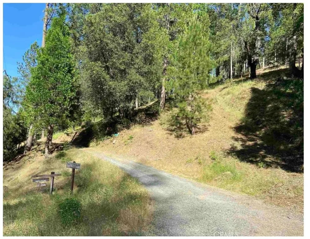Pine Mountain Drive Groveland, CA 95321