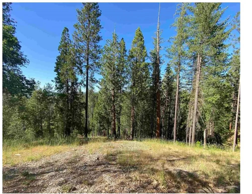 Pine Mountain Drive Groveland, CA 95321