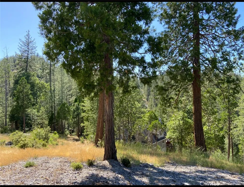 Pine Mountain Drive Groveland, CA 95321