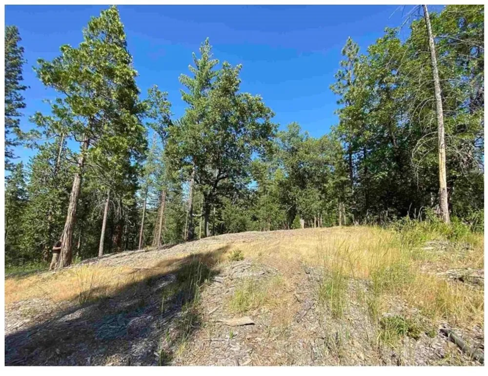 Pine Mountain Drive Groveland, CA 95321