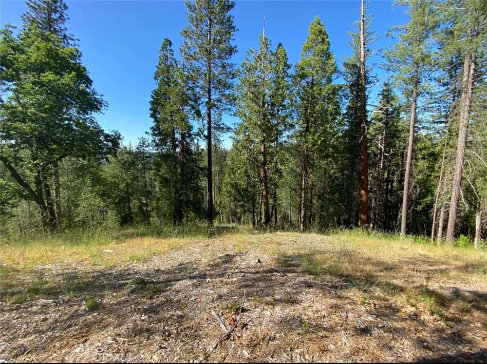 Pine Mountain Drive Groveland, CA 95321