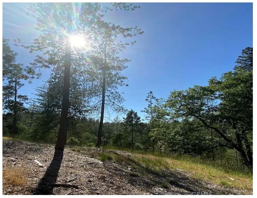 Pine Mountain Drive Groveland, CA 95321