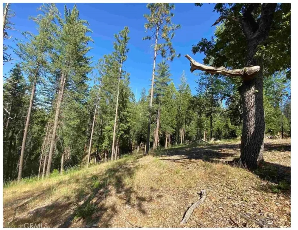 Pine Mountain Drive Groveland, CA 95321