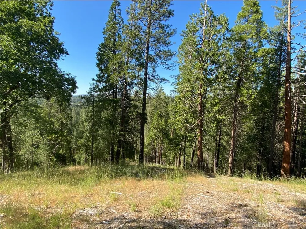 Pine Mountain Drive Groveland, CA 95321