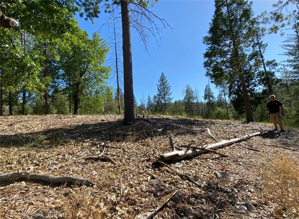 Pine Mountain Drive Groveland, CA 95321