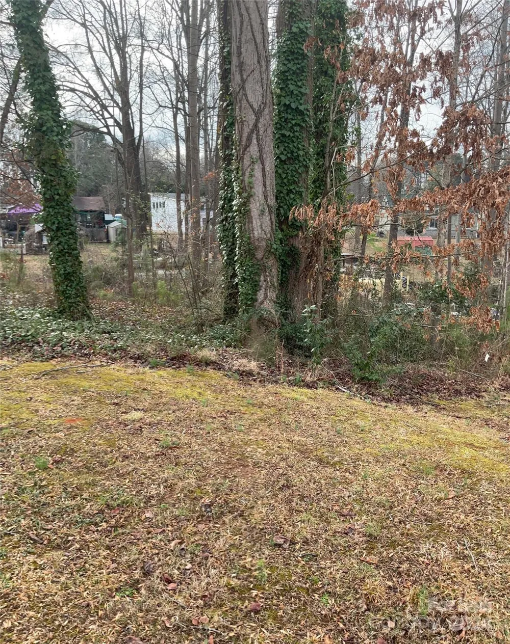 Lot 1 Wildlife Lane #1 Sherrills Ford, NC 28673