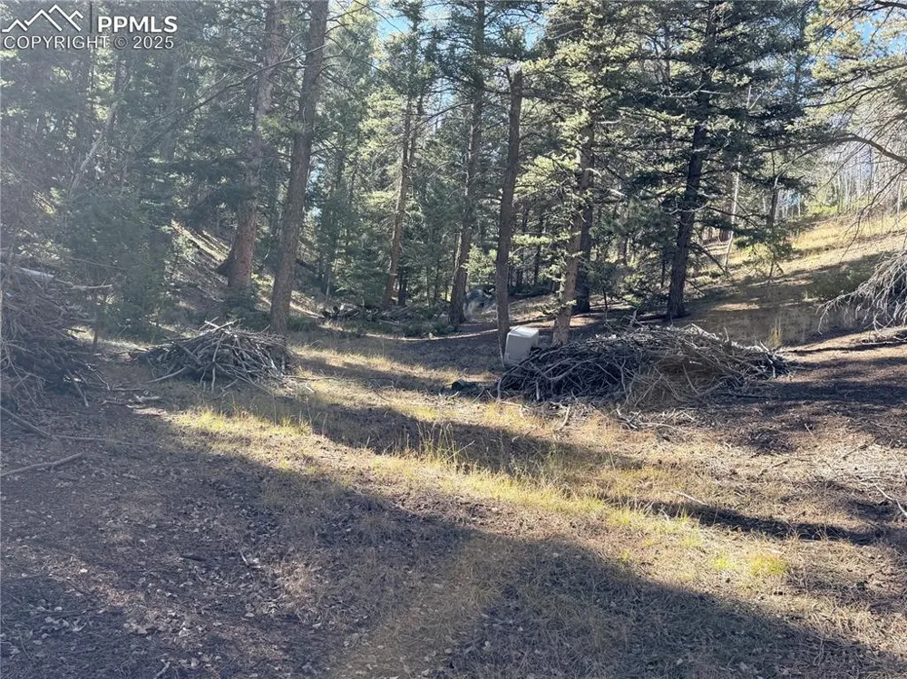 453 Homestead Drive Woodland Park, CO 80863