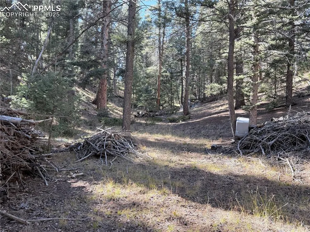 453 Homestead Drive Woodland Park, CO 80863