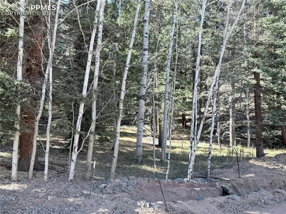 453 Homestead Drive Woodland Park, CO 80863