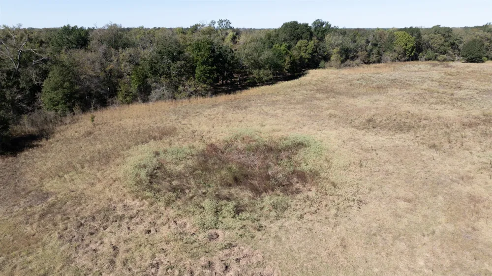204 Little Branch Lane Cameron, TX 76520