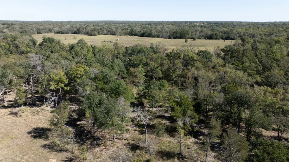 204 Little Branch Lane Cameron, TX 76520