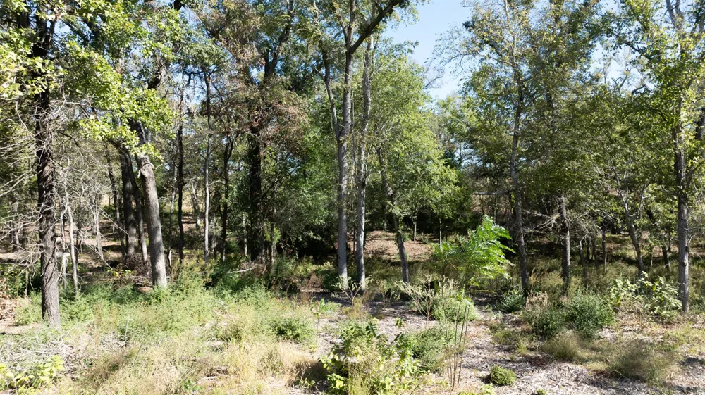 204 Little Branch Lane Cameron, TX 76520