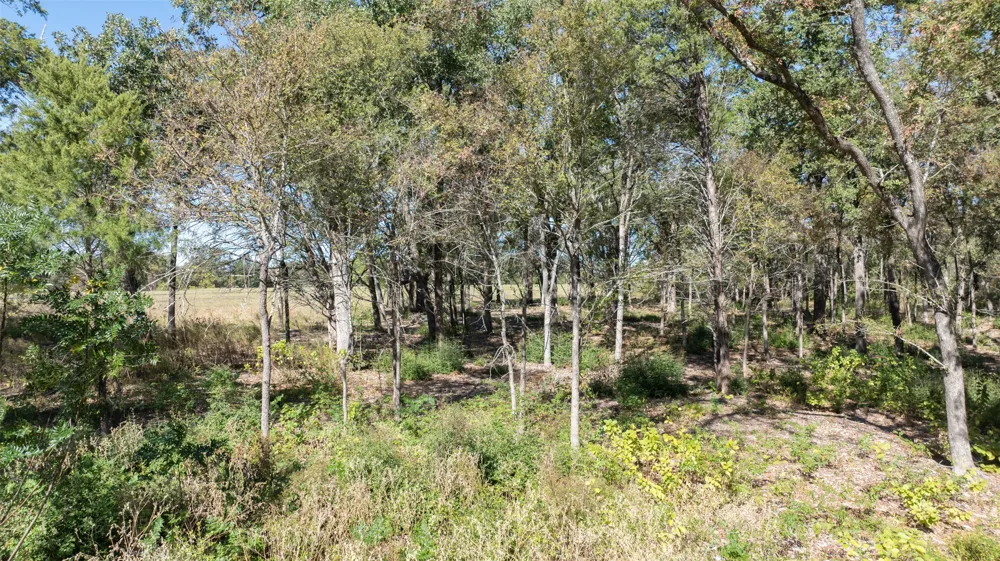 204 Little Branch Lane Cameron, TX 76520
