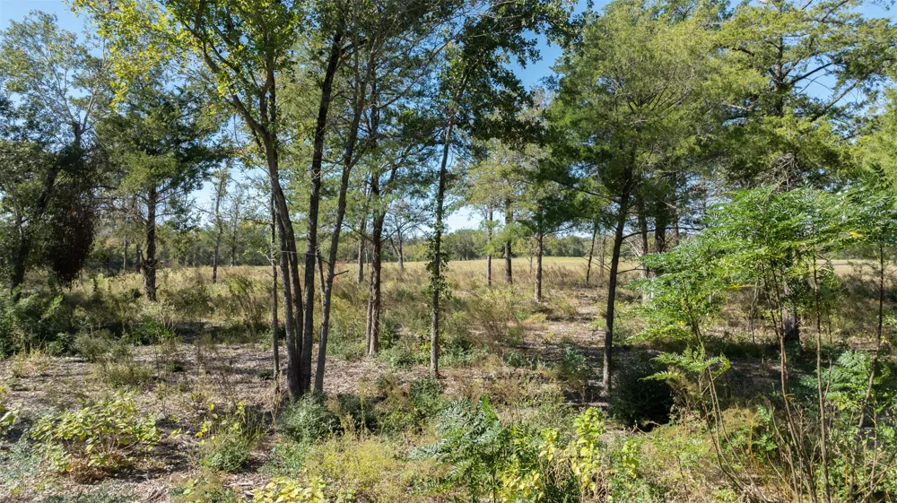 204 Little Branch Lane Cameron, TX 76520
