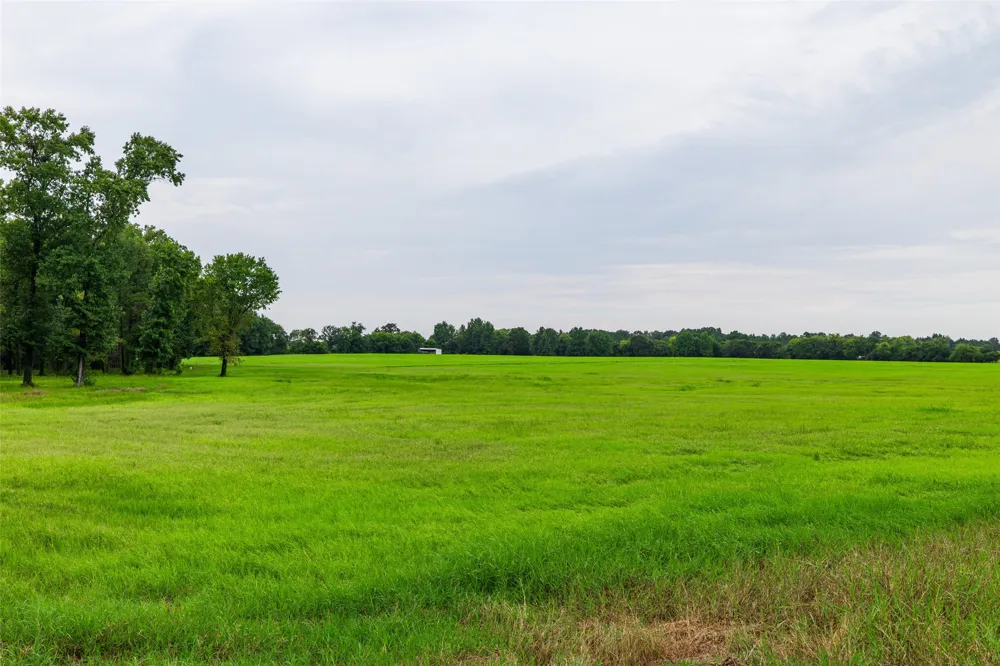 7111 Fm 2339 Murchison, TX 75778