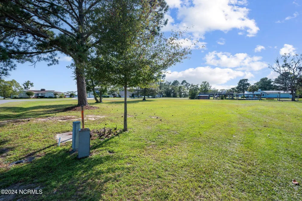 57 Kildee Drive Harrells, NC 28444