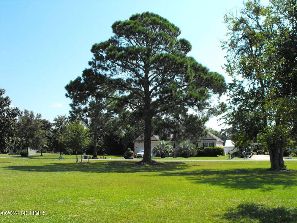 57 Kildee Drive Harrells, NC 28444