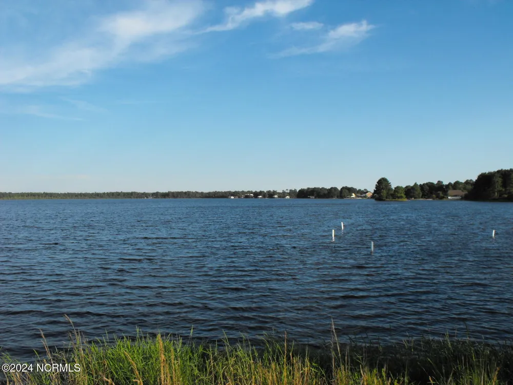 57 Kildee Drive Harrells, NC 28444