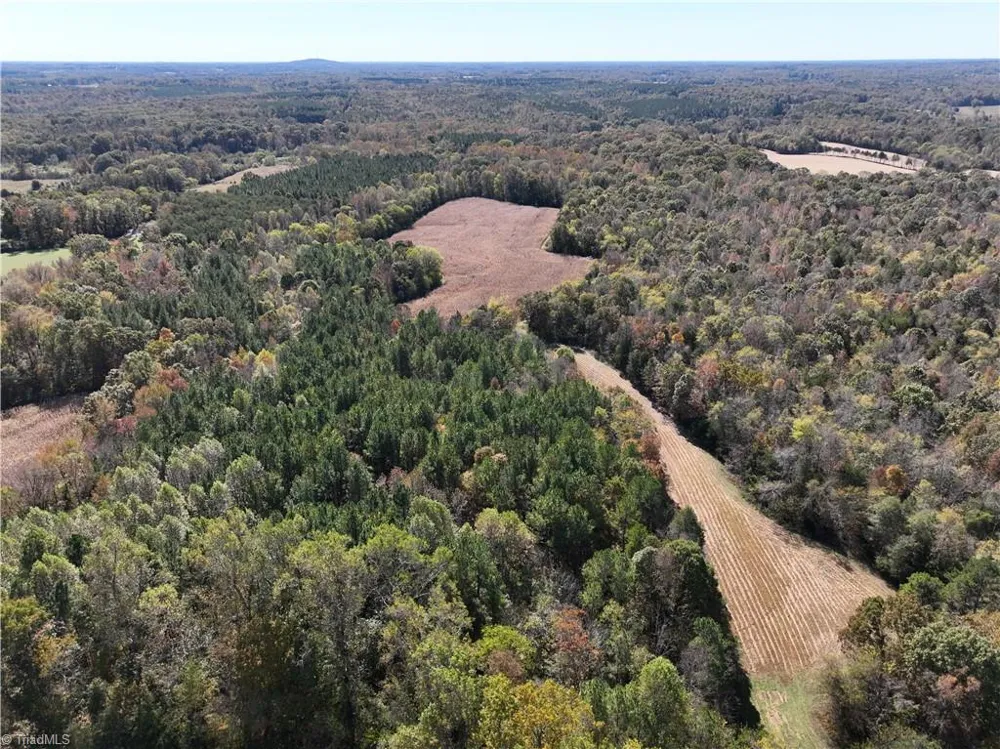 460 Mr Henry Road Mocksville, NC 27028