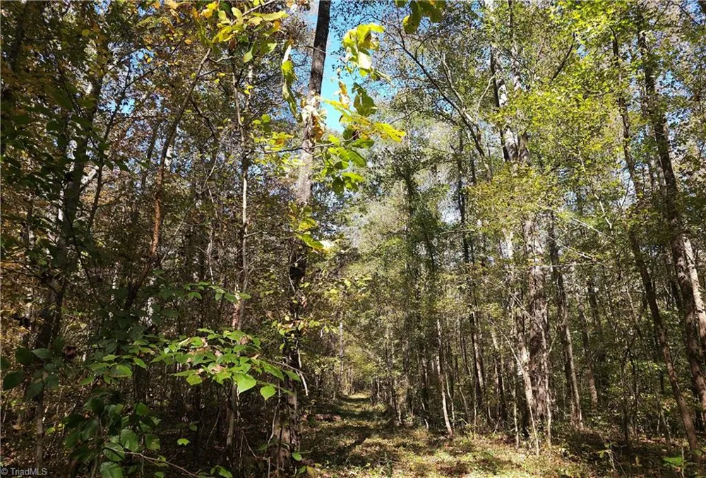 460 Mr Henry Road Mocksville, NC 27028