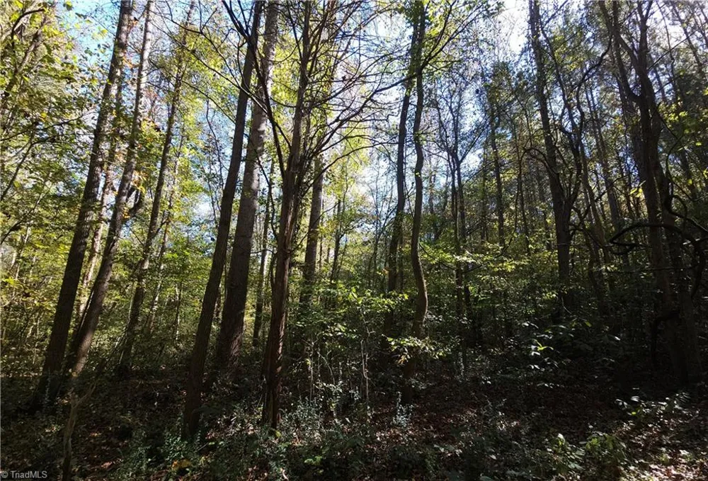 460 Mr Henry Road Mocksville, NC 27028