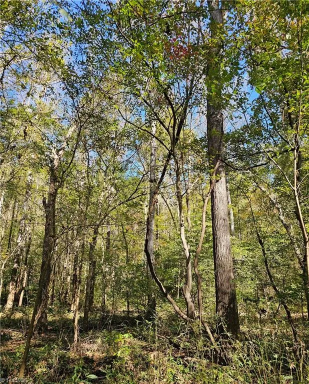 460 Mr Henry Road Mocksville, NC 27028
