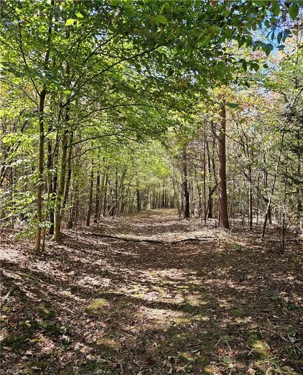 460 Mr Henry Road Mocksville, NC 27028