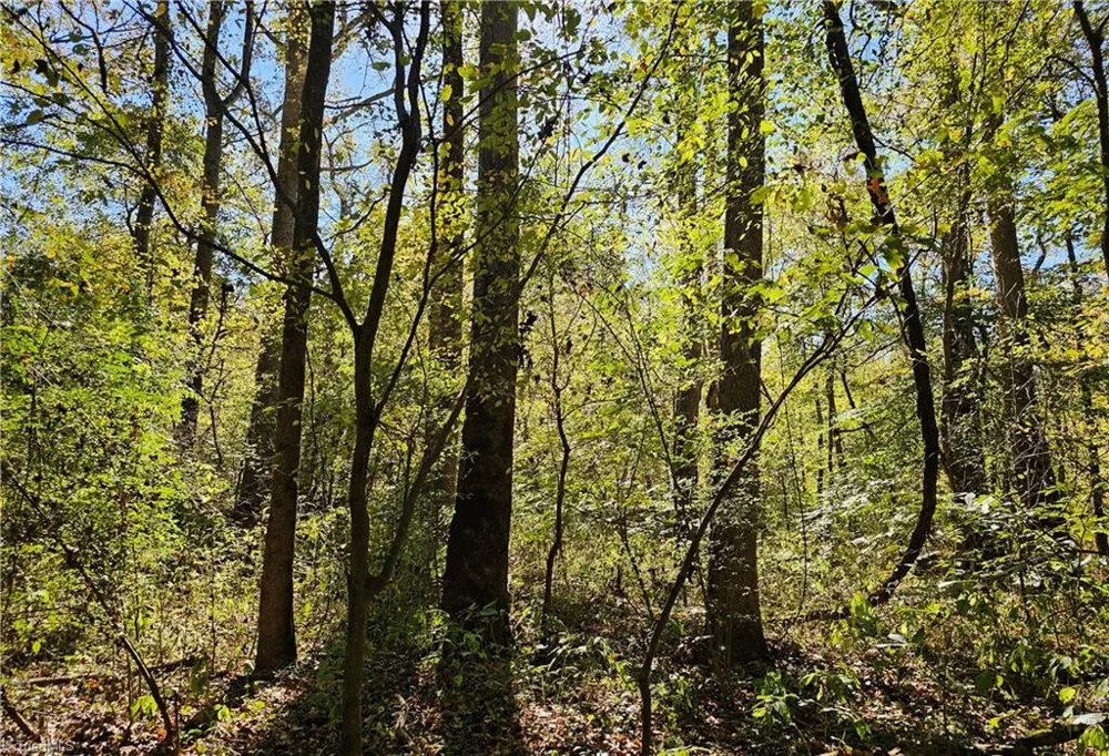 460 Mr Henry Road Mocksville, NC 27028