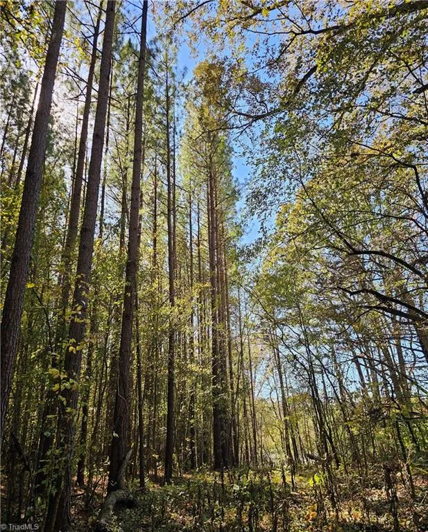 460 Mr Henry Road Mocksville, NC 27028
