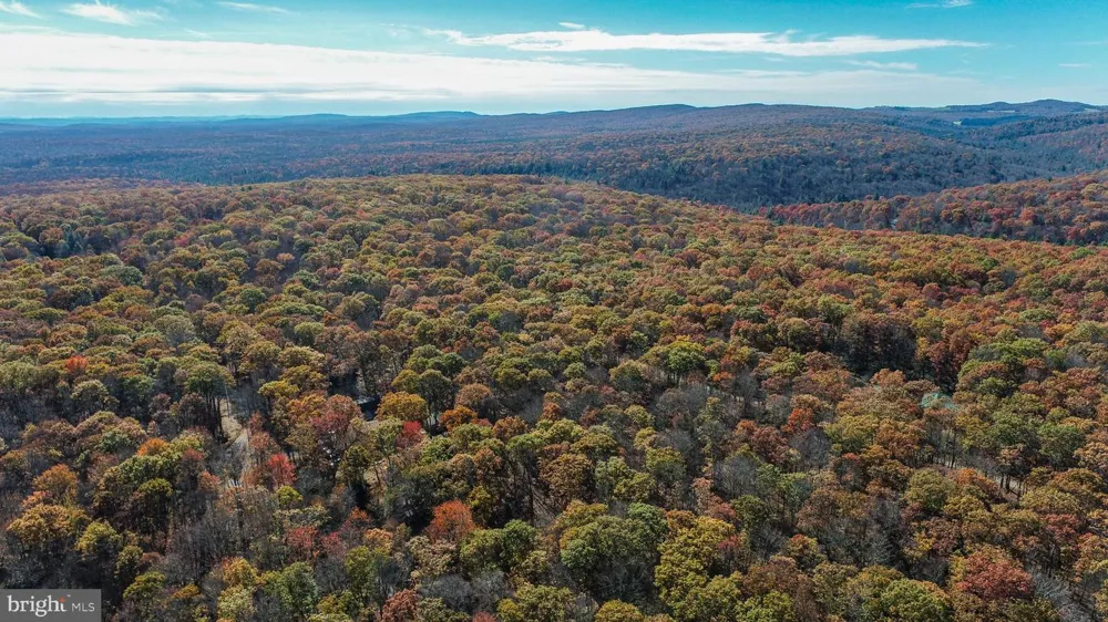 DOGWOOD DRIVE Oakland, MD 21550