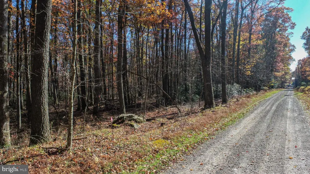 DOGWOOD DRIVE Oakland, MD 21550