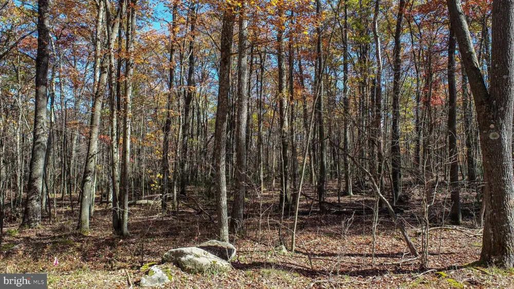 DOGWOOD DRIVE Oakland, MD 21550