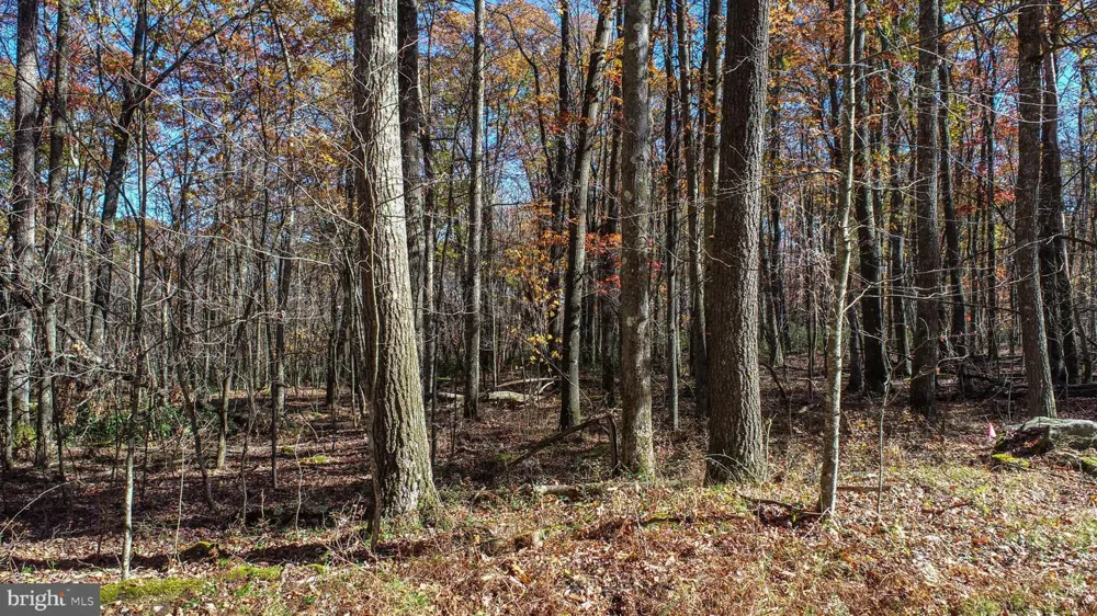 DOGWOOD DRIVE Oakland, MD 21550