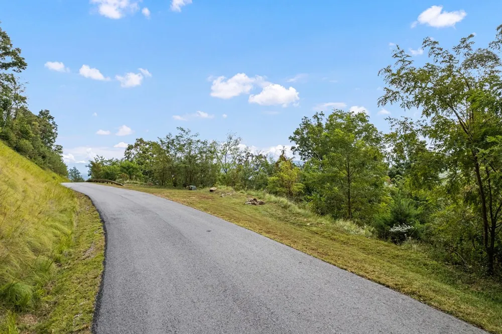 Summit View Dr Canton, NC 28716
