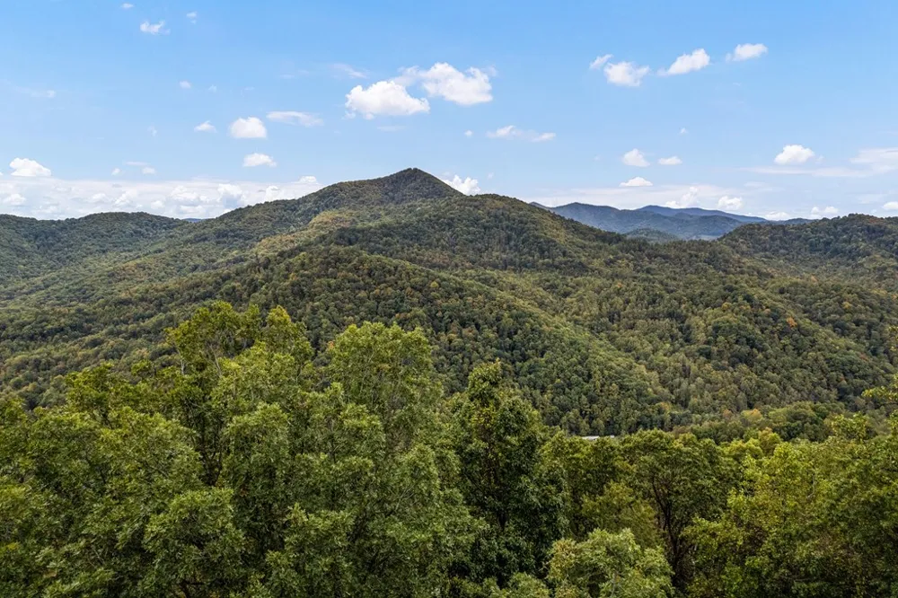 Summit View Dr Canton, NC 28716