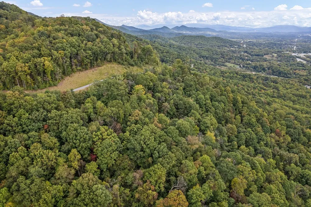 Summit View Dr Canton, NC 28716