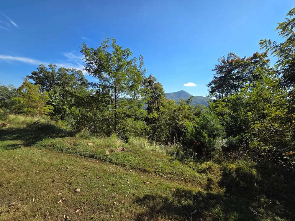 Summit View Dr Canton, NC 28716