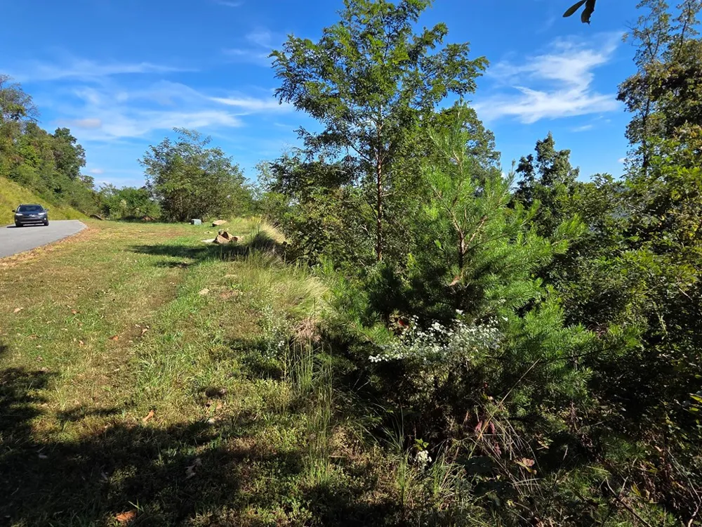 Summit View Dr Canton, NC 28716