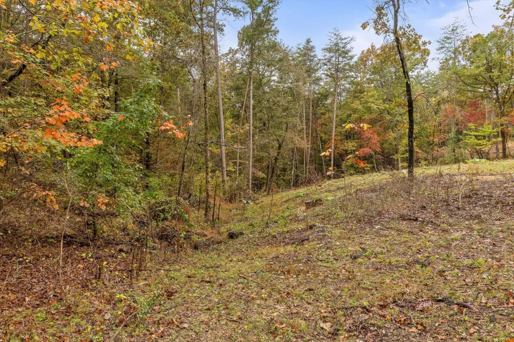 0 Countryside Drive Dunlap, TN 37327