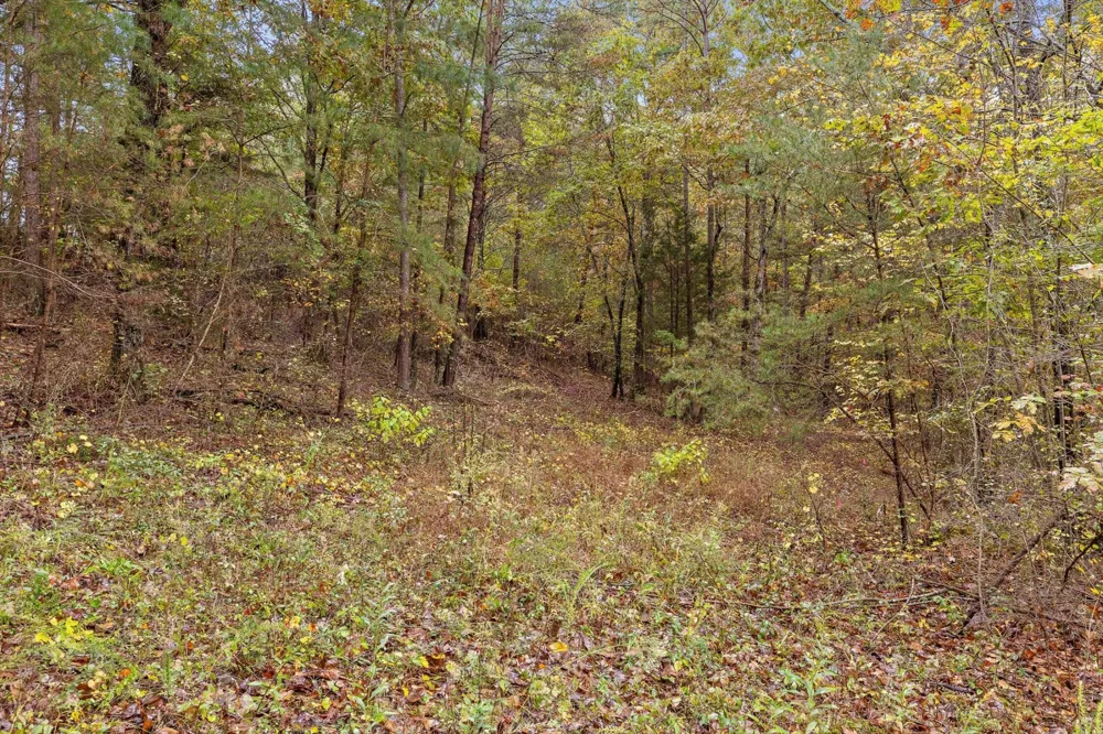 0 Countryside Drive Dunlap, TN 37327