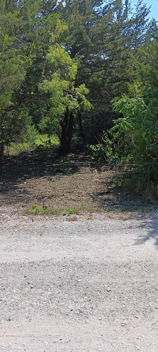 County 3114 Road NW Purdon, TX 76679