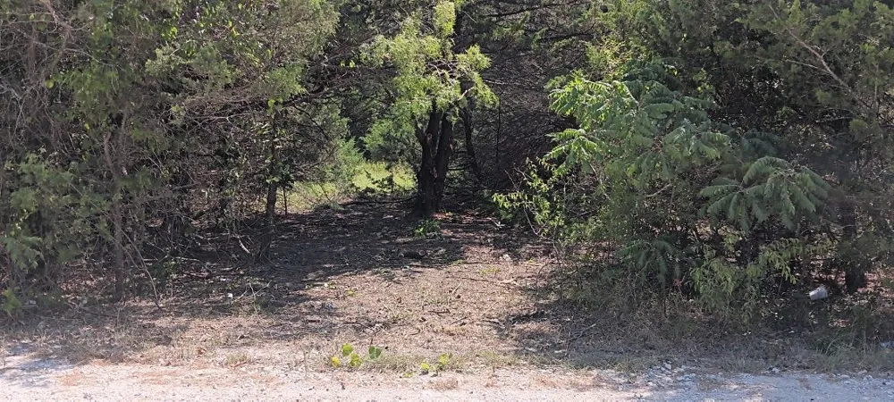 County 3114 Road NW Purdon, TX 76679