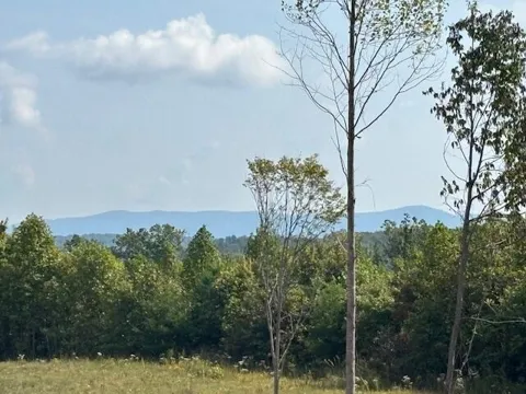 Otis Daivs Road