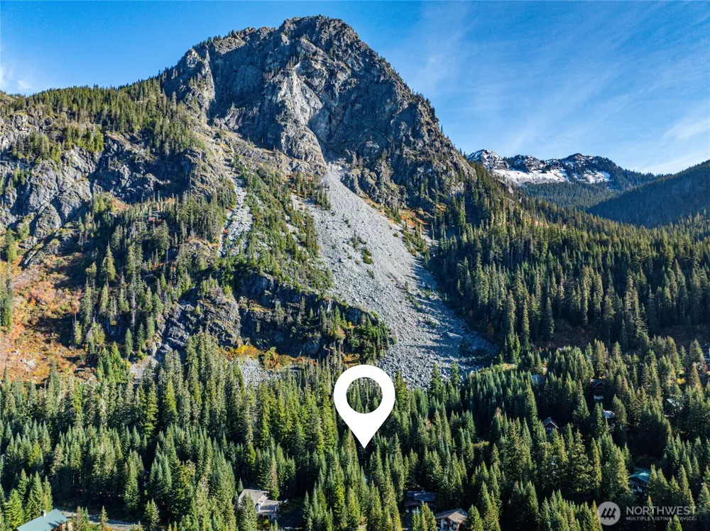 22 Alpental Street Snoqualmie Pass, WA 98068