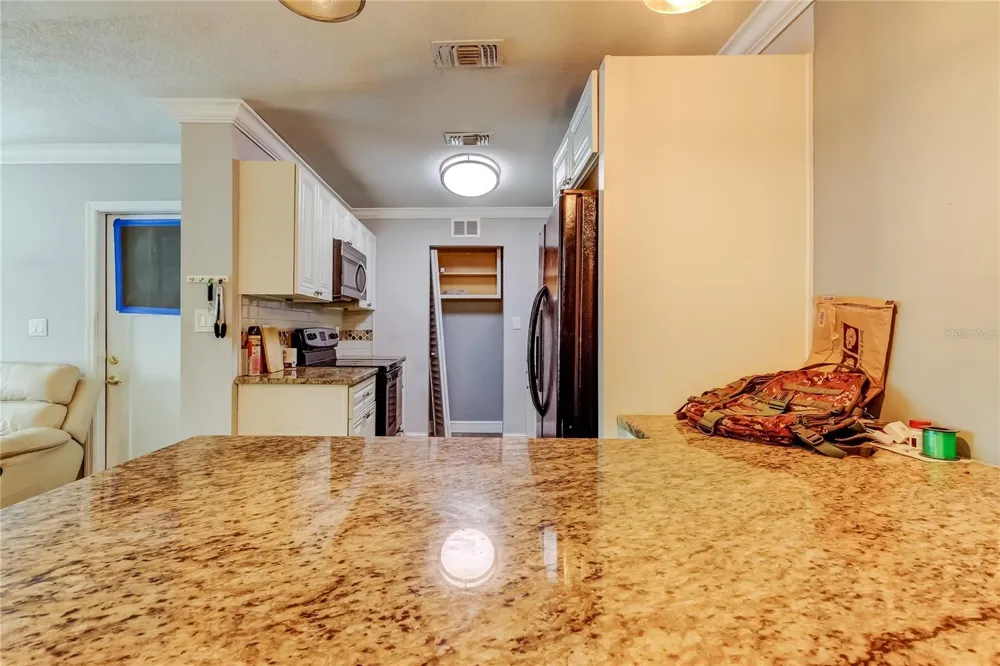 4532 DEVONSHIRE ROAD Tampa, FL 33634