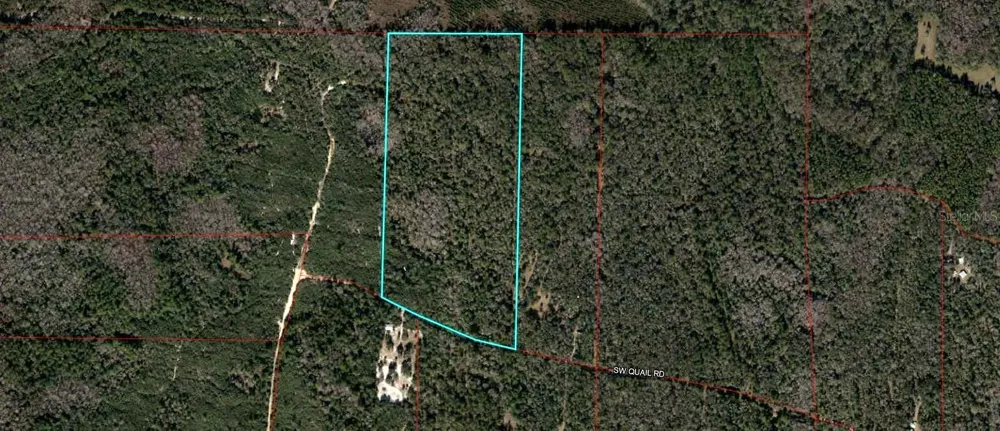 TBD QUAIL ROAD Cedar Key, FL 32625
