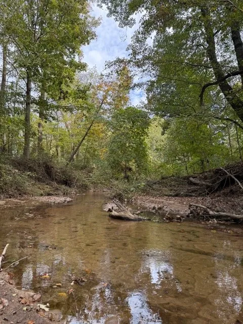 0 HWY 77 Paris, TN 38242