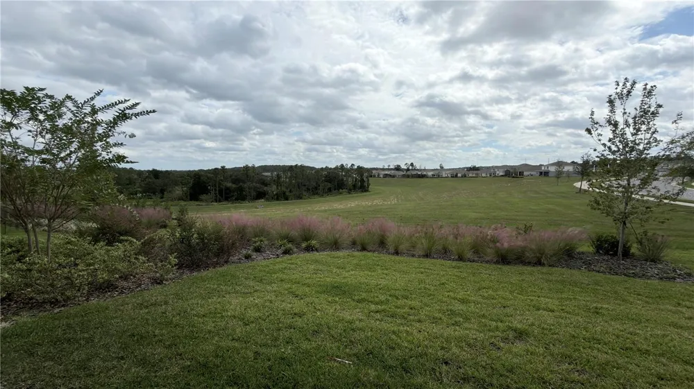15295 RISING VIEW DRIVE Montverde, FL 34756