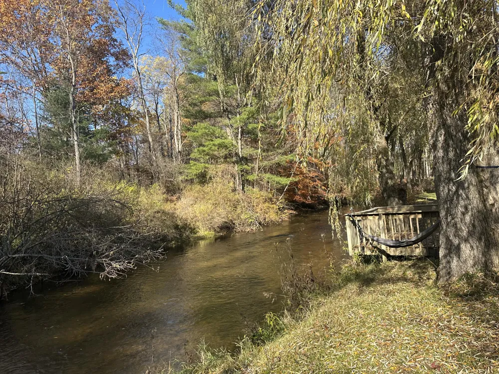 5423 Karley Court Ellsworth Township, MI 49656